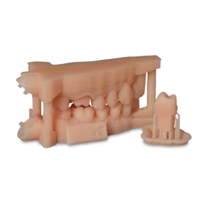 Formlabs Model