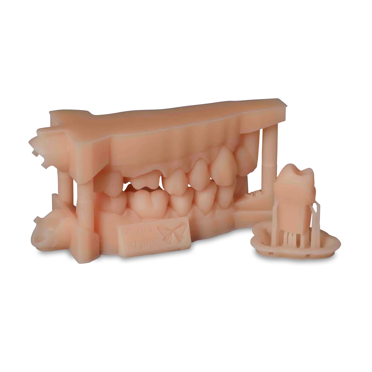 Formlabs Model