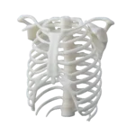 Formlabs White