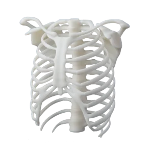 Formlabs White