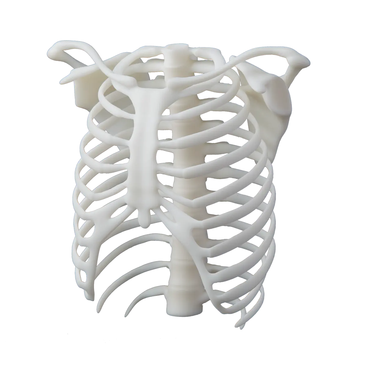 11082017_white_171_1 Formlabs White
